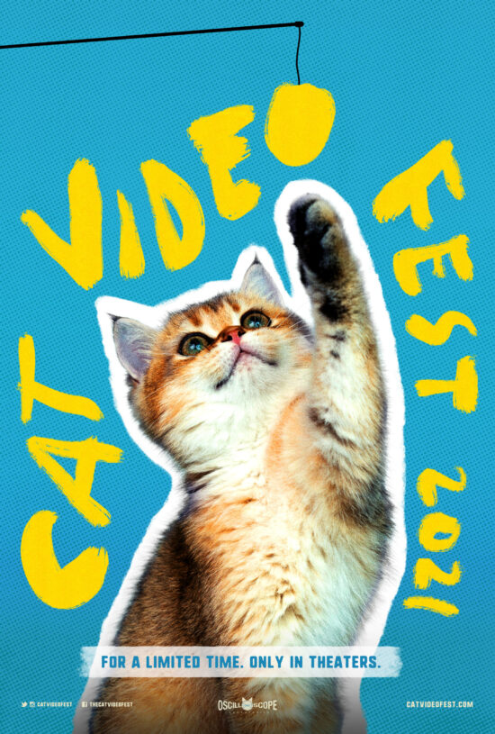 CatVideoFest 2021